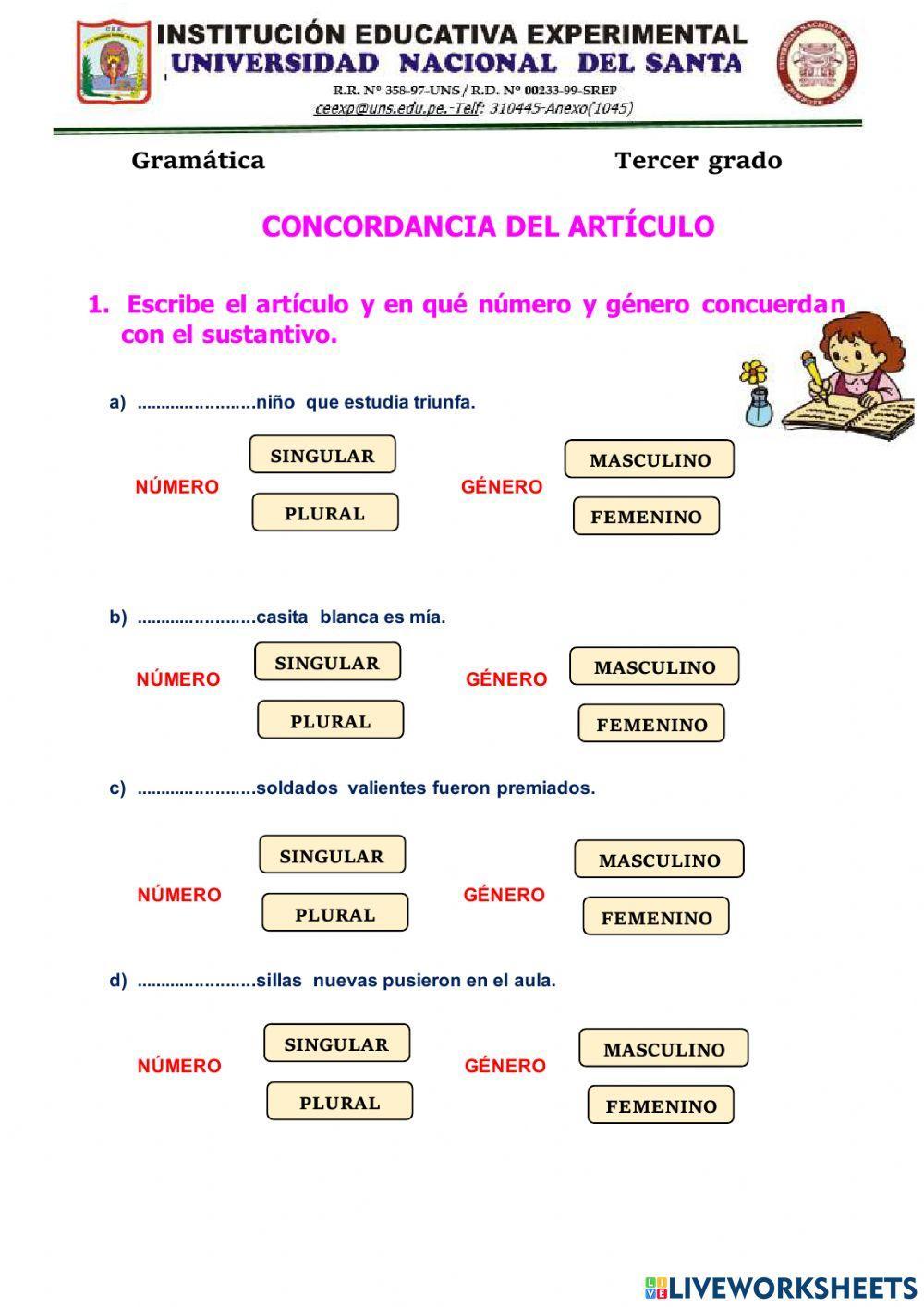 Concordancia del  articulo