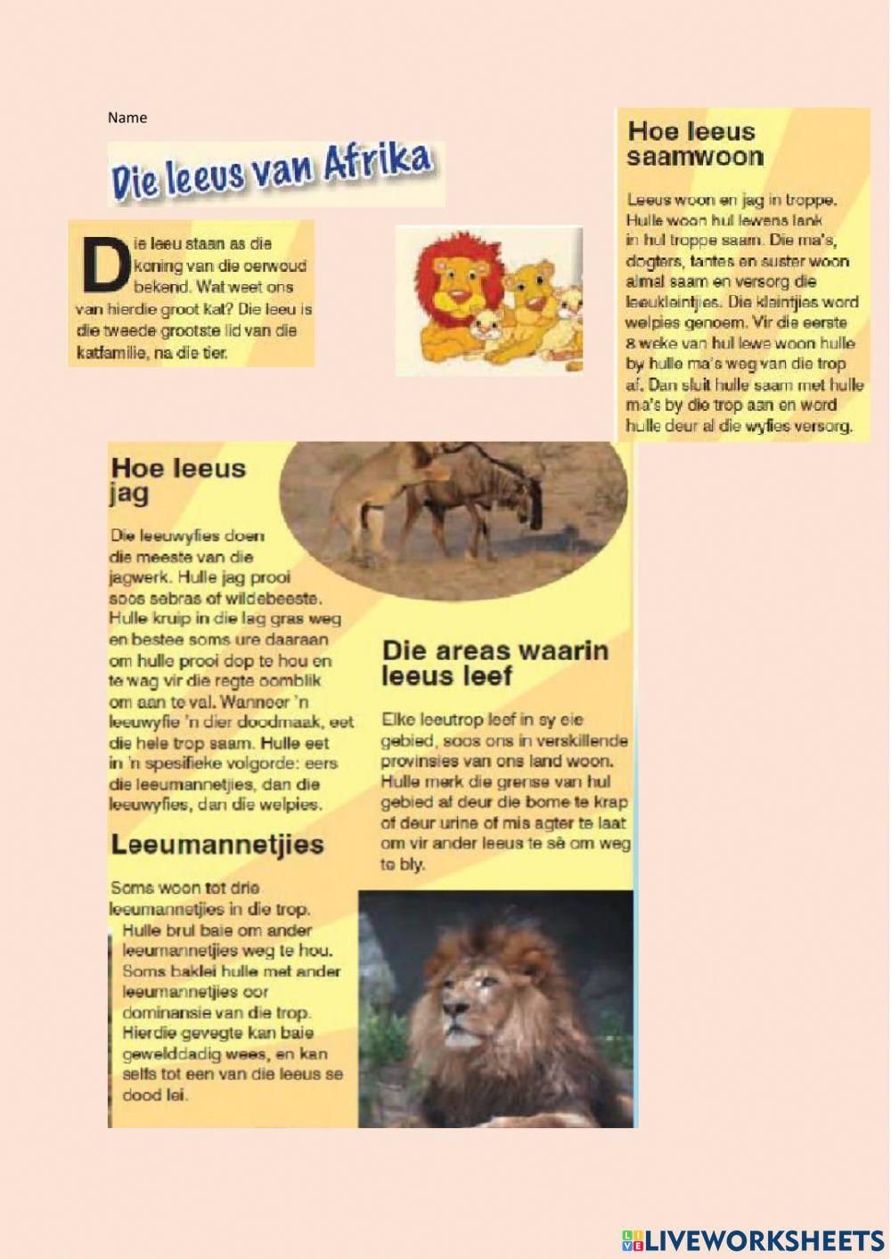 Begrip lees Leeus van Afrika