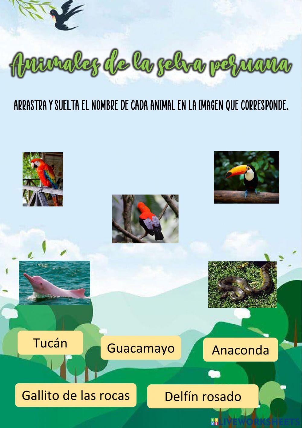 Animales de la selva peruana