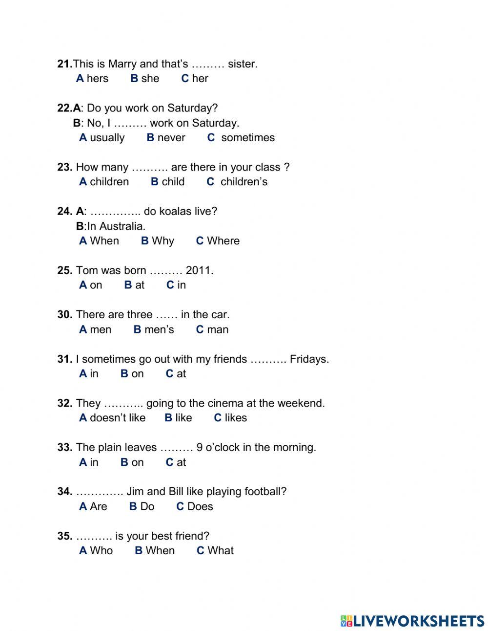 Comulative vocabulary and grammar test