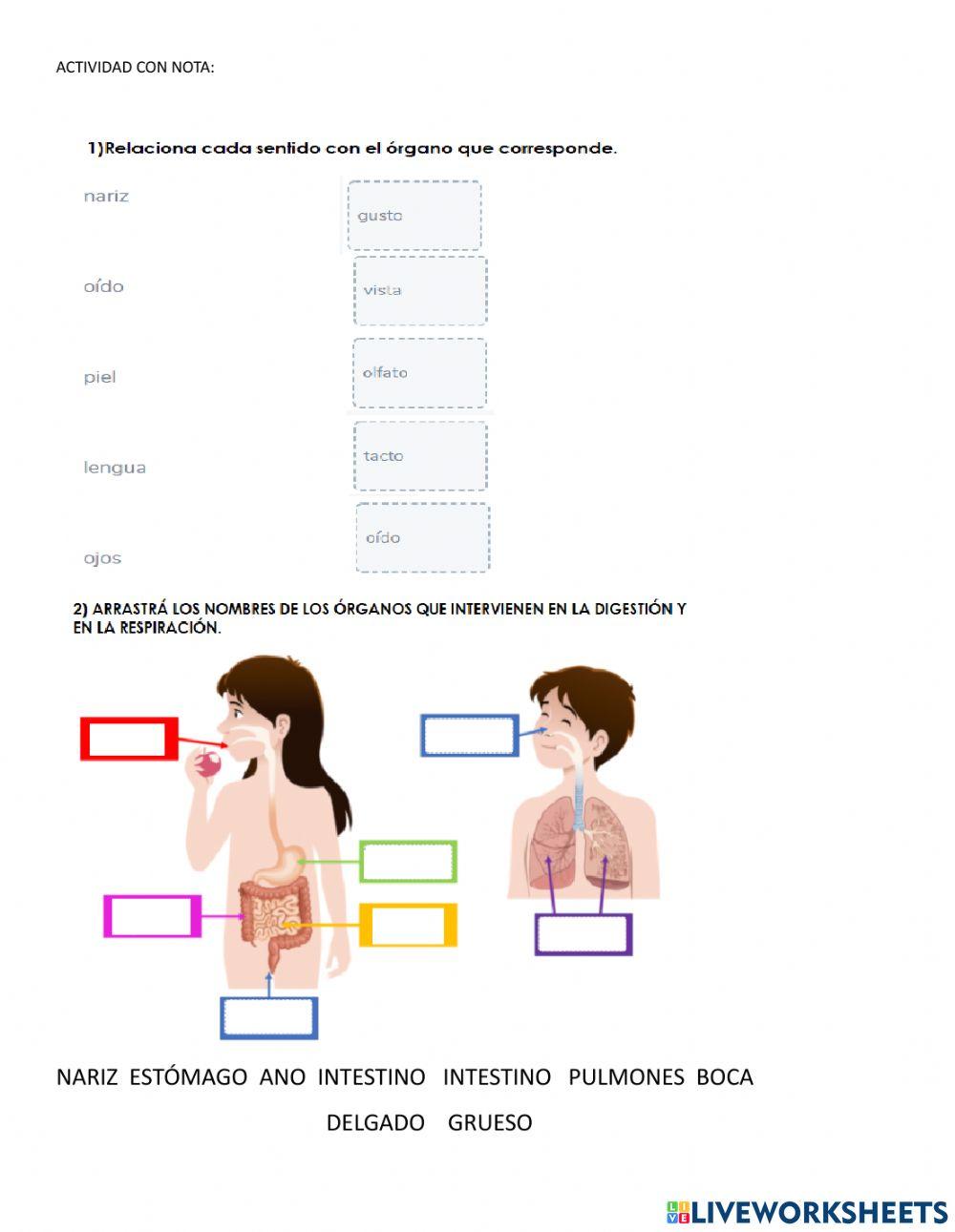 Clase de Ciencias naturales.