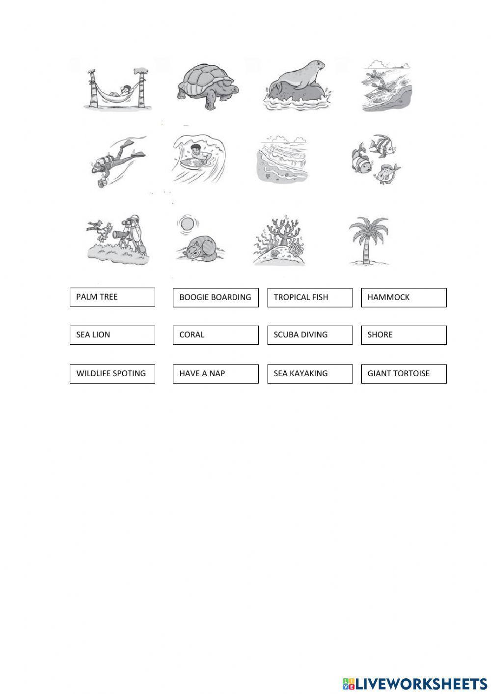 Match the words with the correct picture