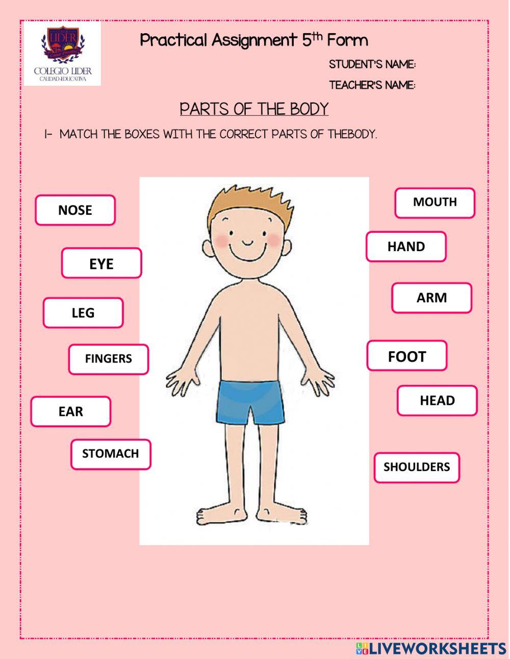 Practical Assignment - 5th Form Miss Carli & Miss Barby
