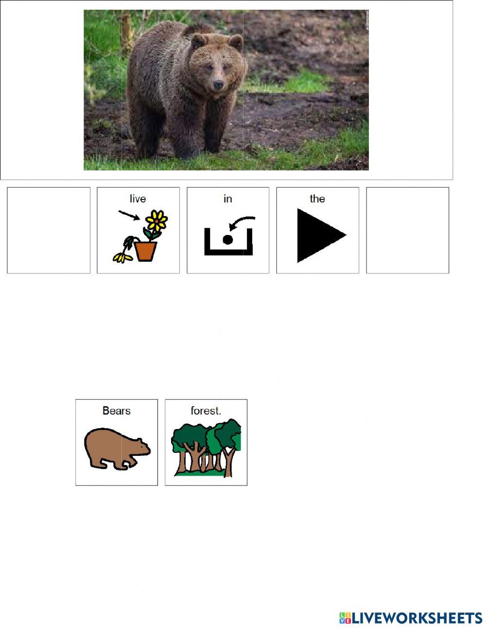 Animal Habitats (forest) Animal Habitats (forest)