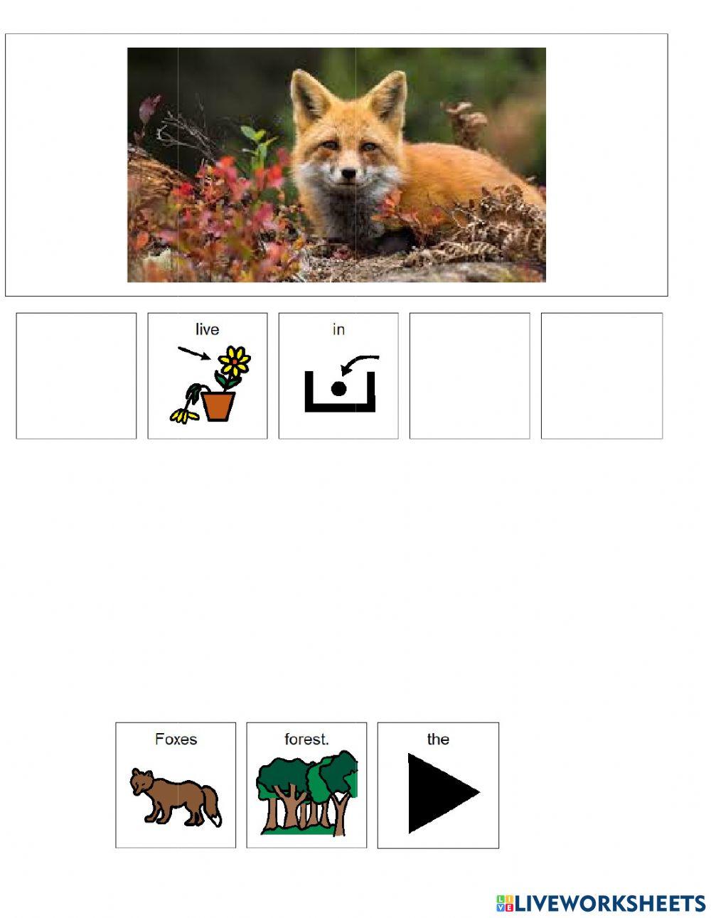 Animal Habitats (forest) Animal Habitats (forest)