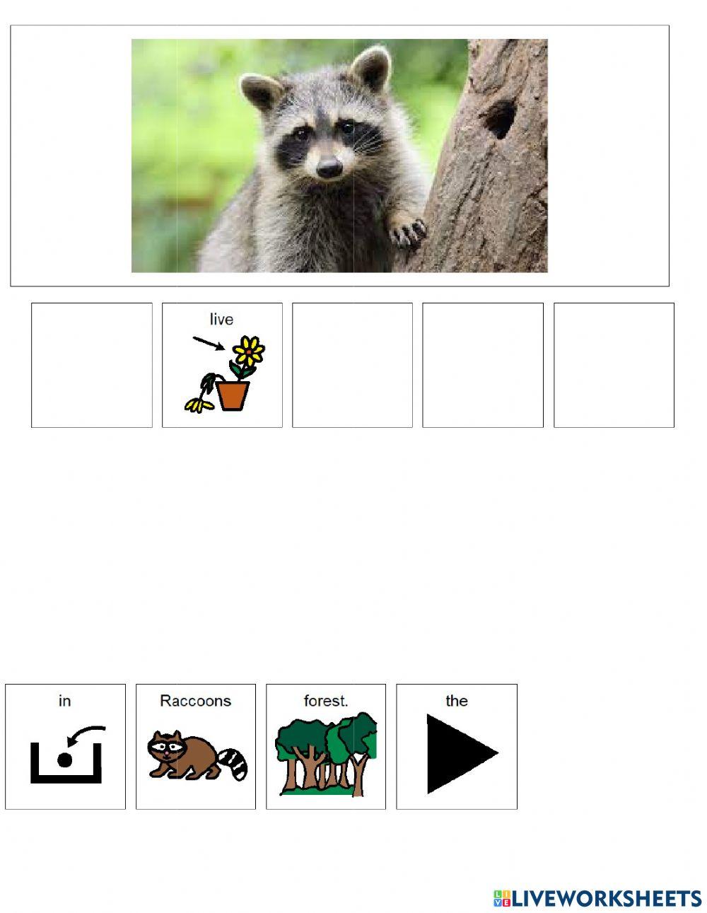 Animal Habitats (forest) Animal Habitats (forest)