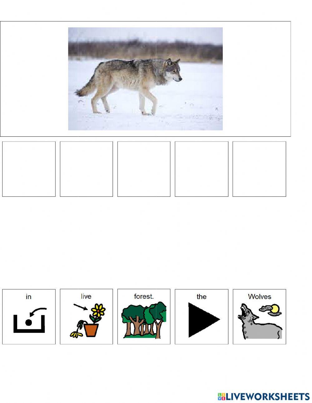 Animal Habitats (forest) Animal Habitats (forest)