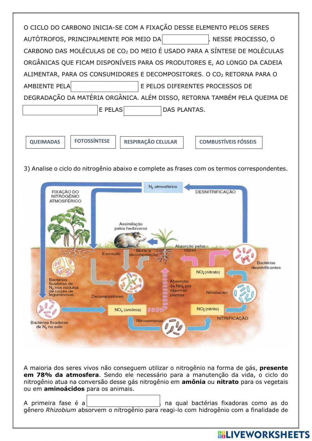 Ciclos biogeoquímicos