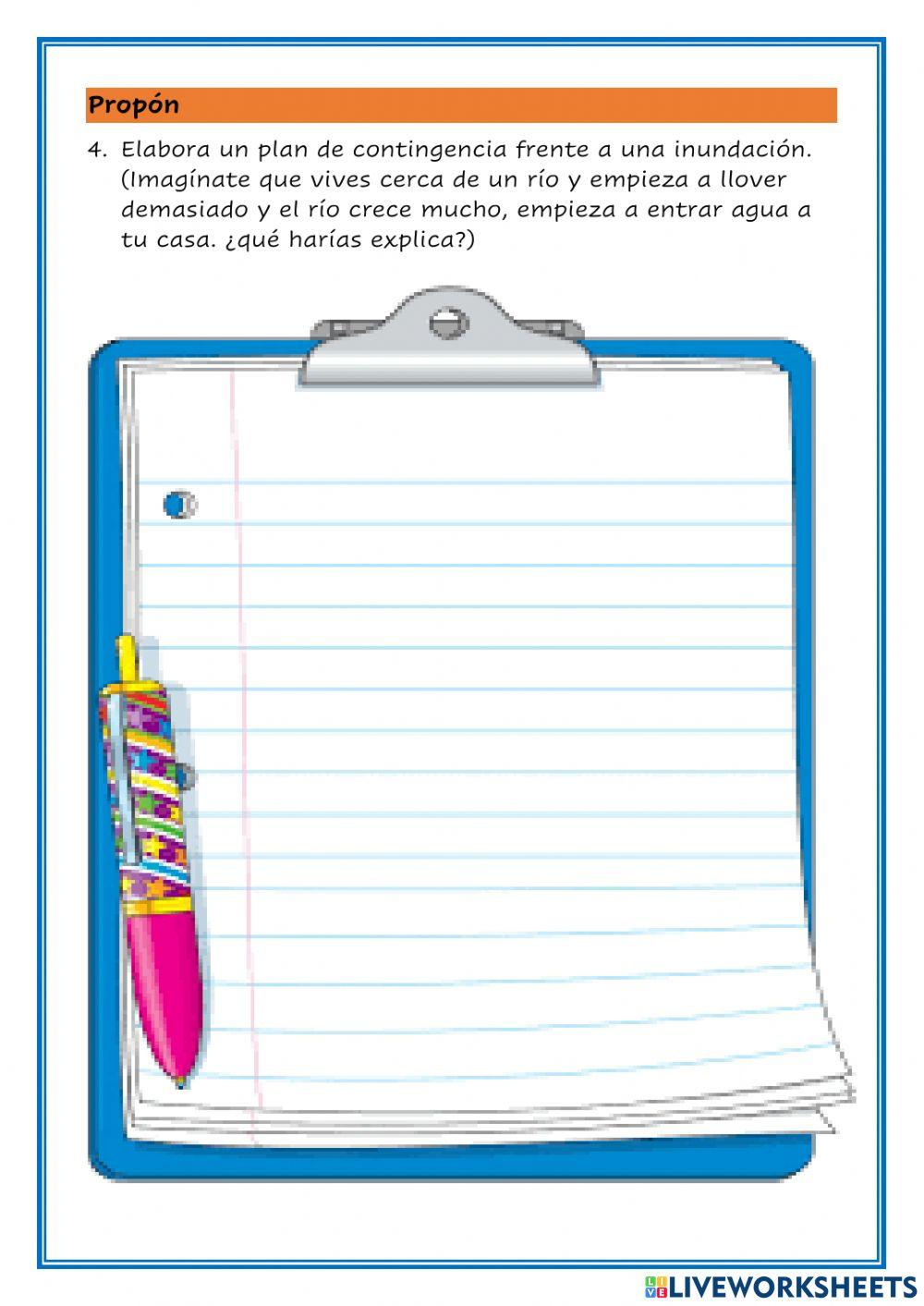 Plan de contingencia