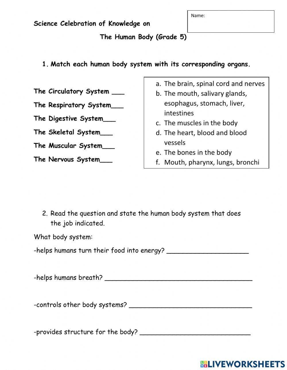 1055456 grade 5 human body celebration of knowledge