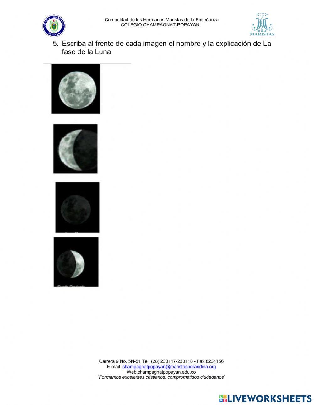 Taller movimientos de la tierra y fases de la luna