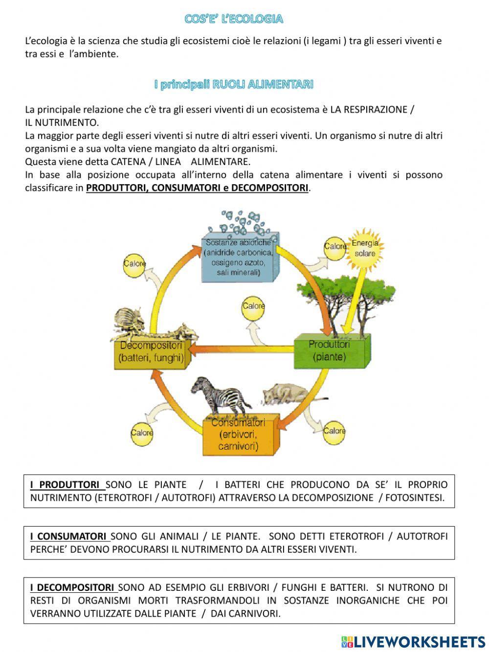 Ecologia e ecosistemi
