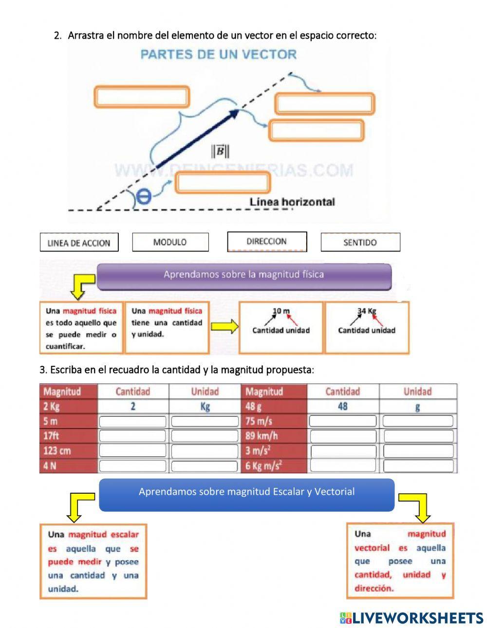 Vectores y sus componentes