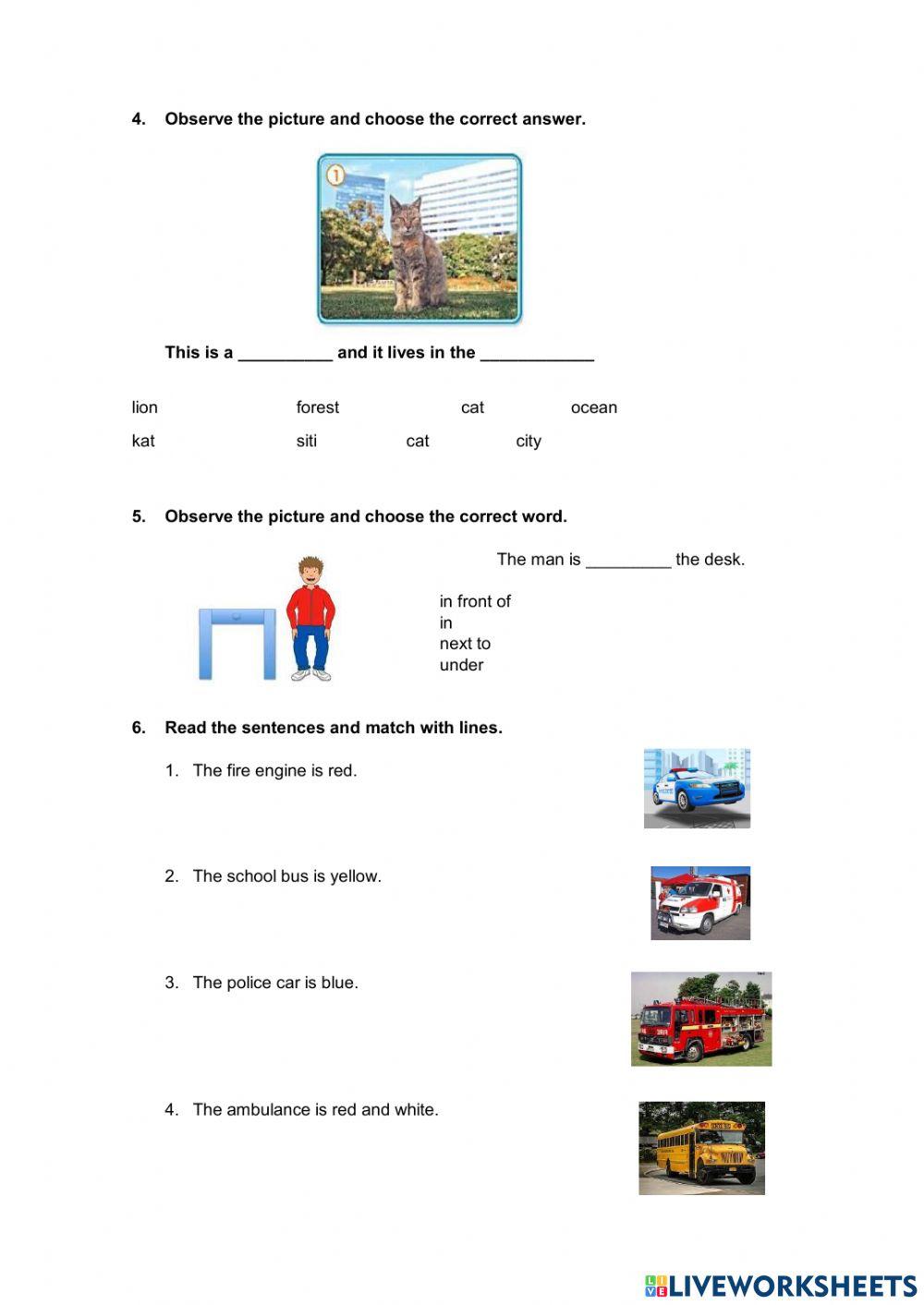 Diagnostic English Coordinator 3rd gradde