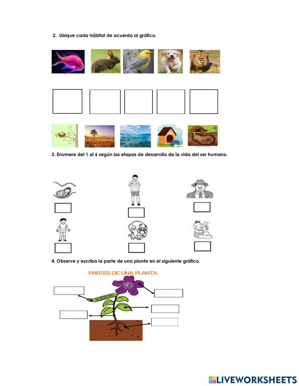 Examen de Ciencias Naturales
