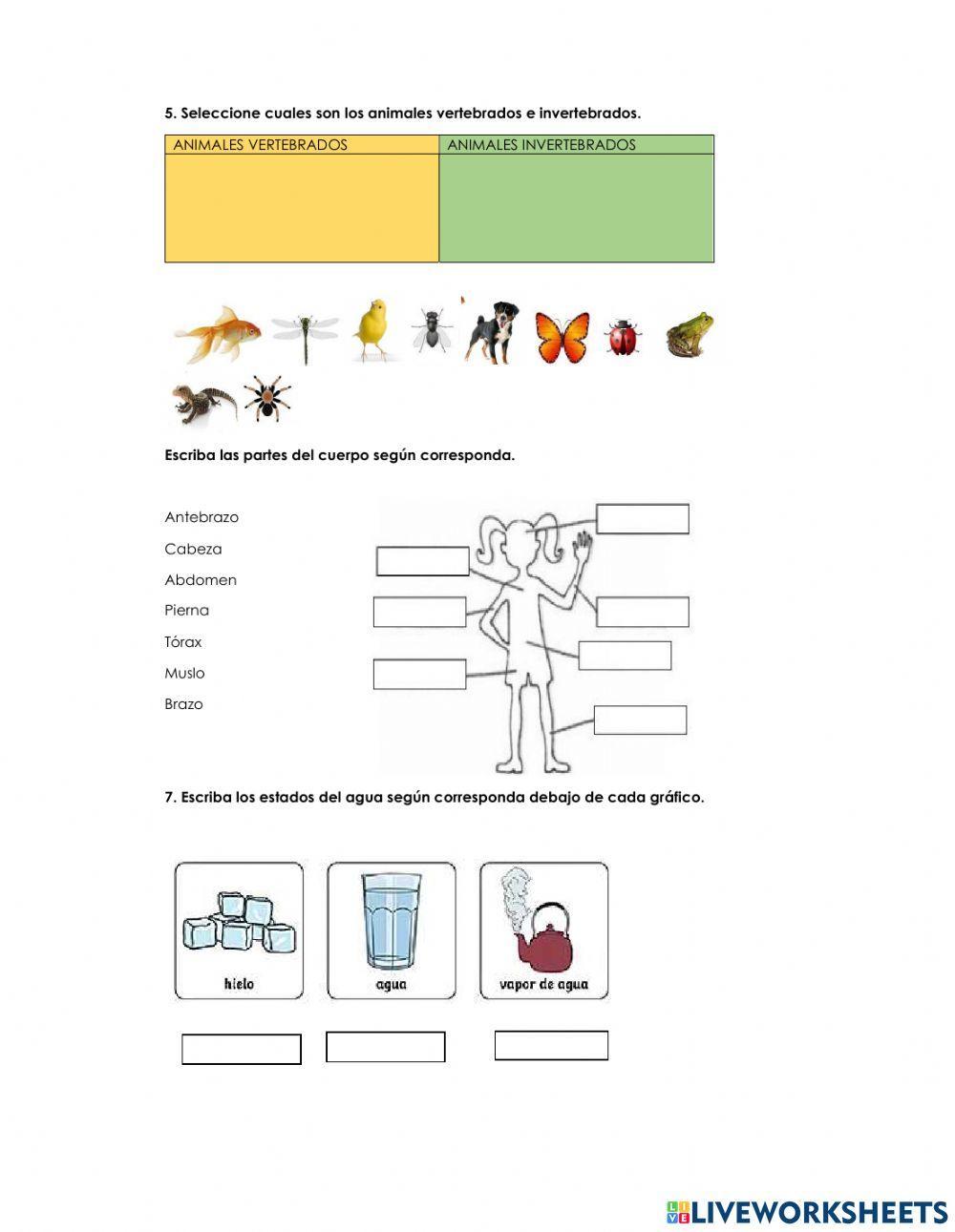 Examen de Cienc… | Free Interactive Worksheets | 1101931, image size:1000x1291