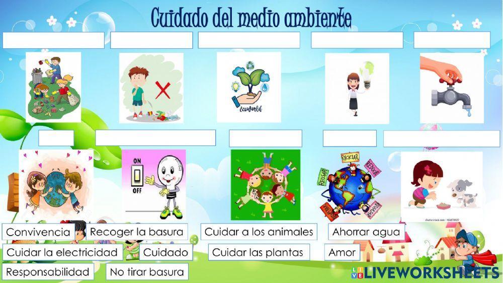 Cuidado del medio ambiente