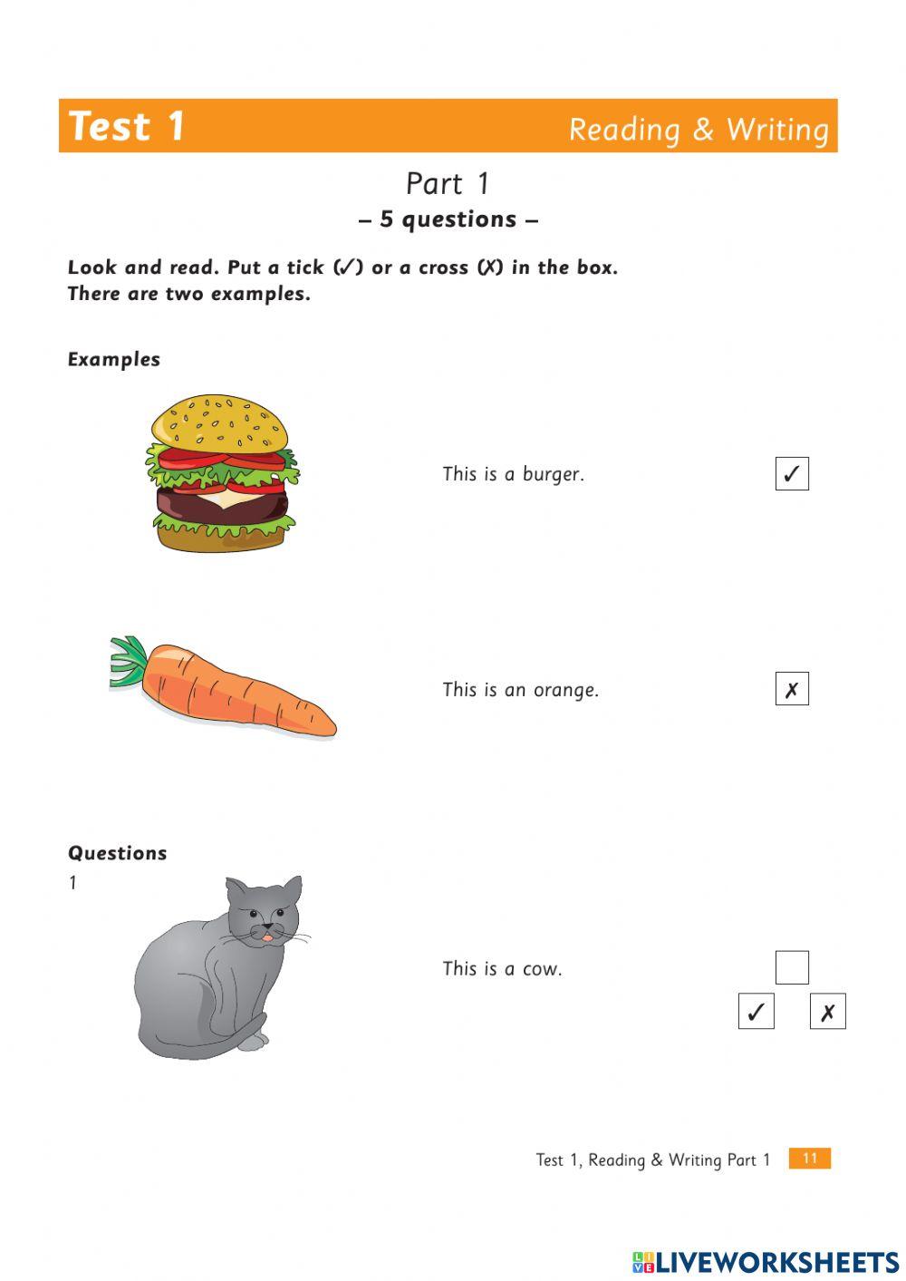 Practice Test Plus Starters (2nd): Test 1 - Reading and Writing