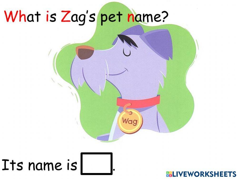 B2a Zag's Pet 002