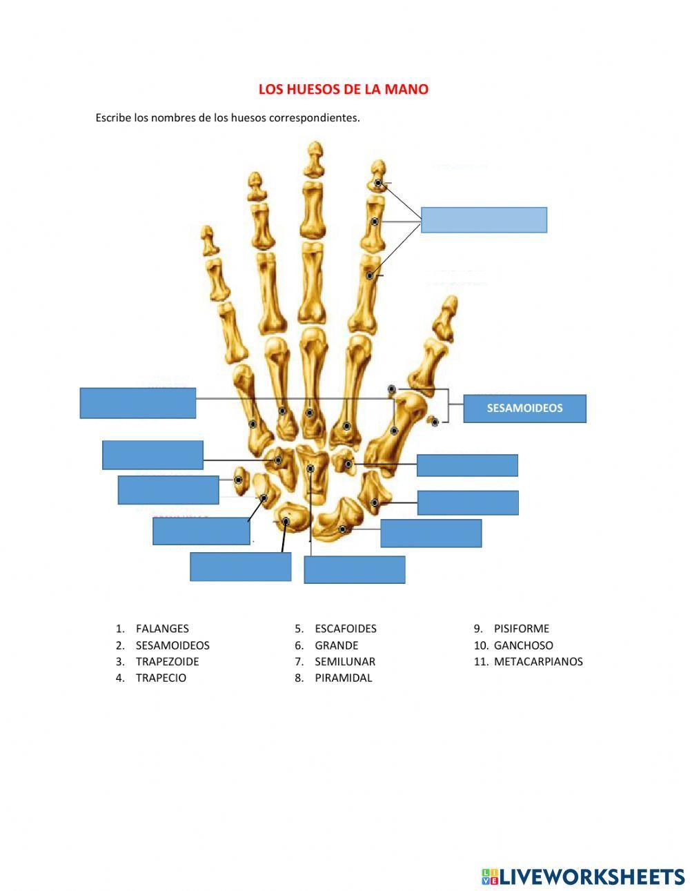 Ciencia y Tecnologia