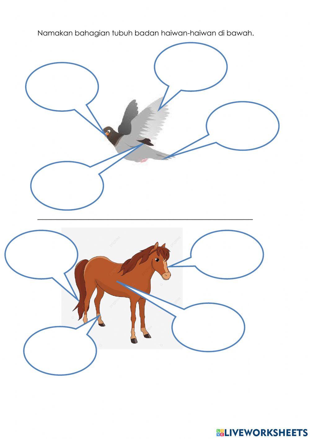 Nama bahagian badan haiwan