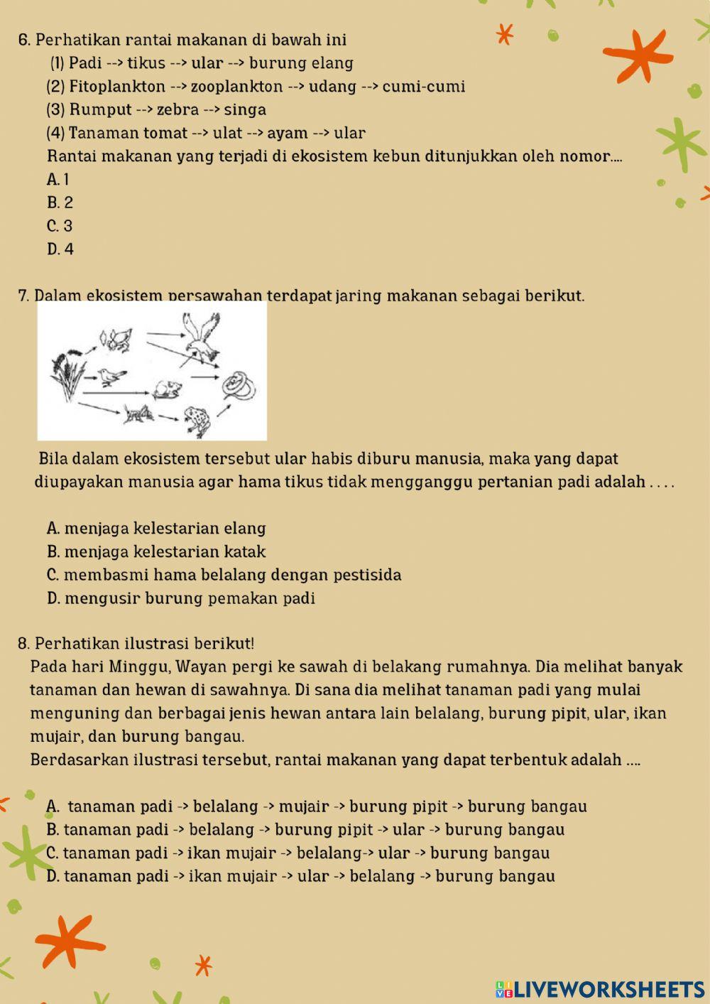 LKPD HOTS Kelas 5 (2)