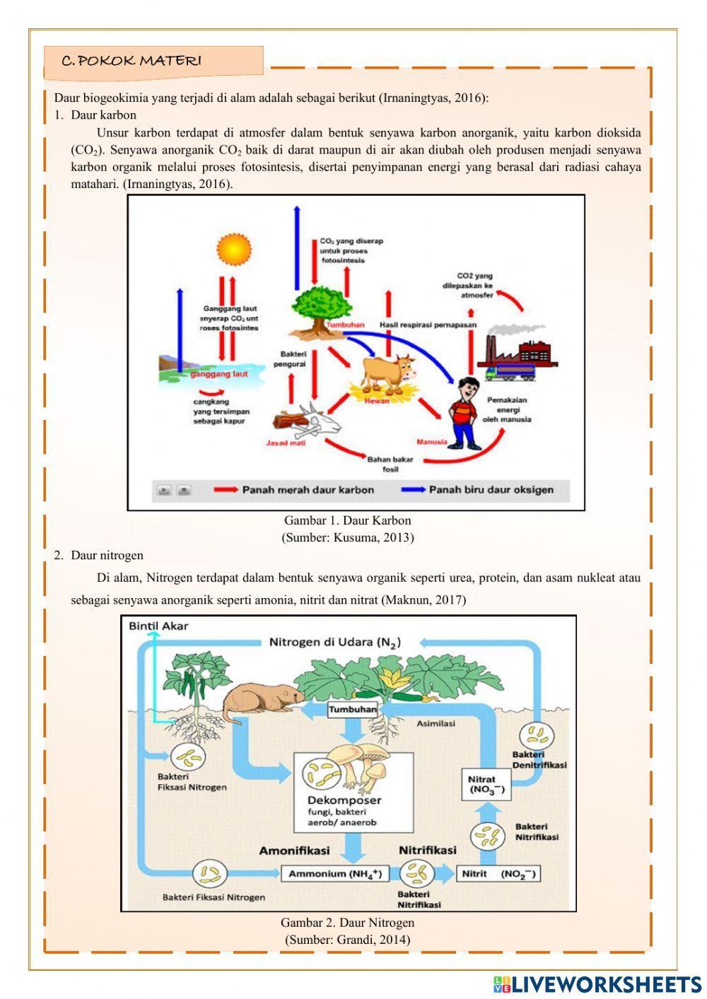 LKPD-e III Daur Biogeokimia
