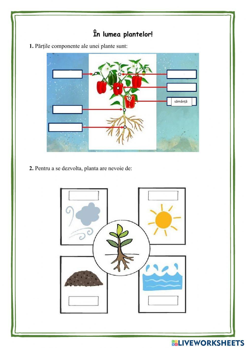 În lumea plantelor