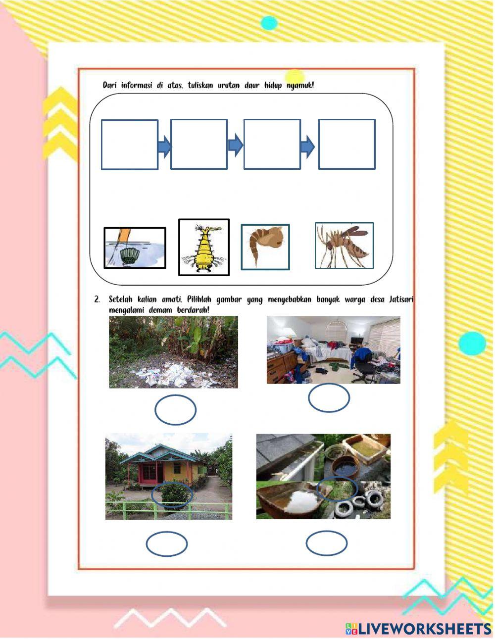Kelas 3 Tema 1 Subtema 3 Pembelajaran 5
