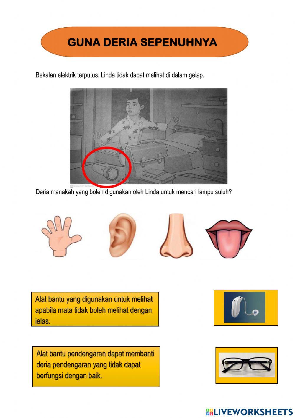 Gunakan deria sepenuhnya