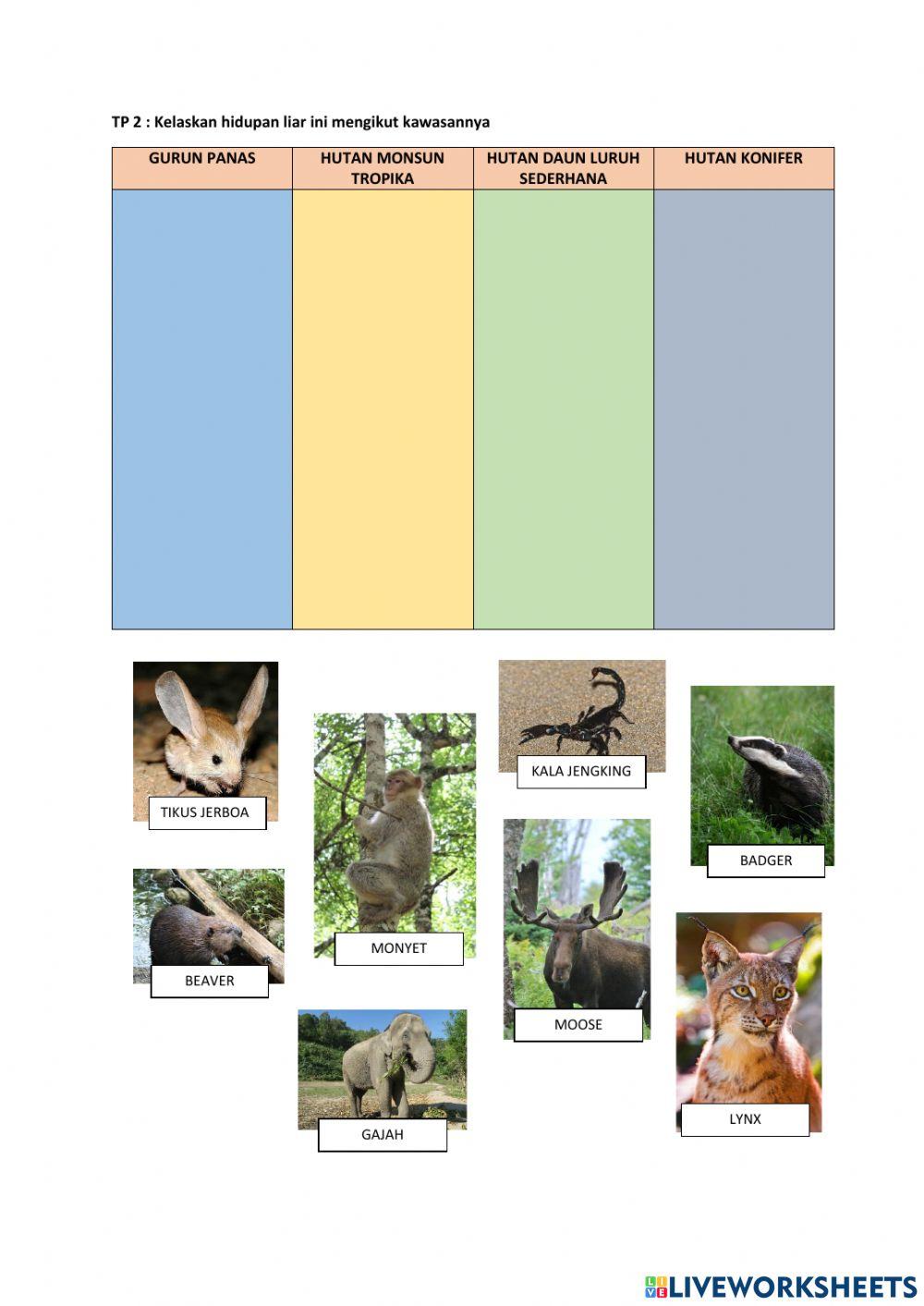 Tumbuh-tumbuhan semulajadi dan hidupan liar di dunia