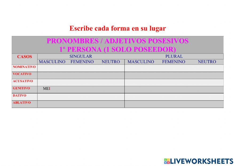 Posesivo MEUS, A, UM