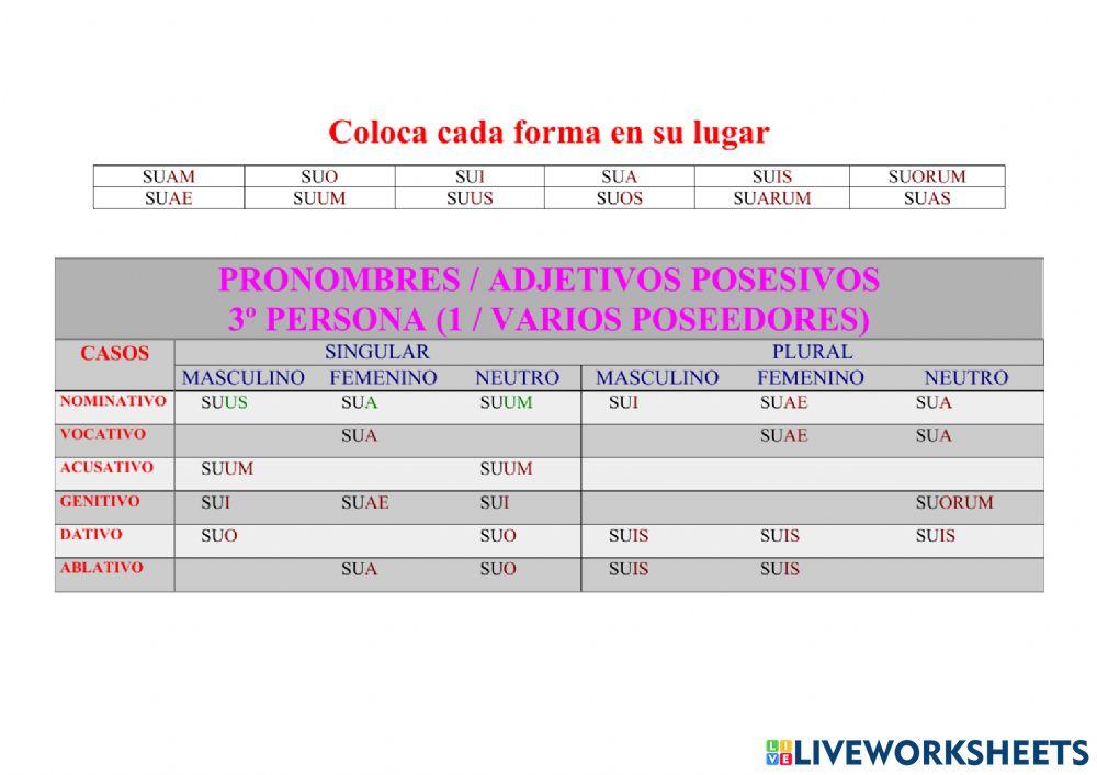 Posesivo SUUS, A, UM