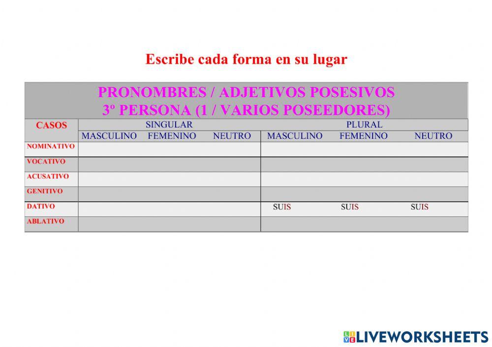 Posesivo SUUS, A, UM