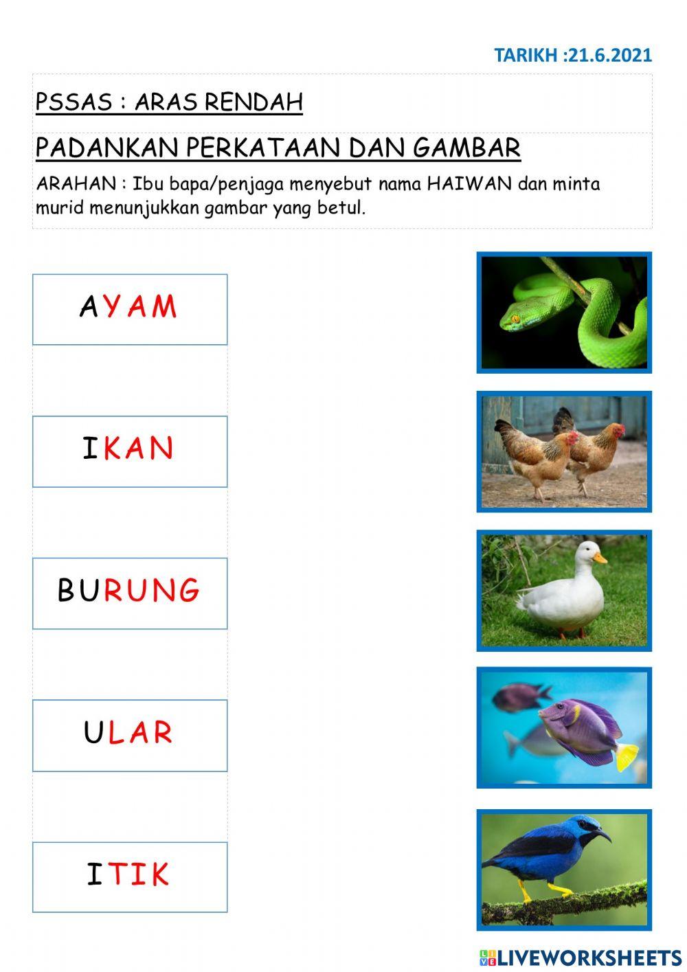 Sains ppki ARAS RENDAH