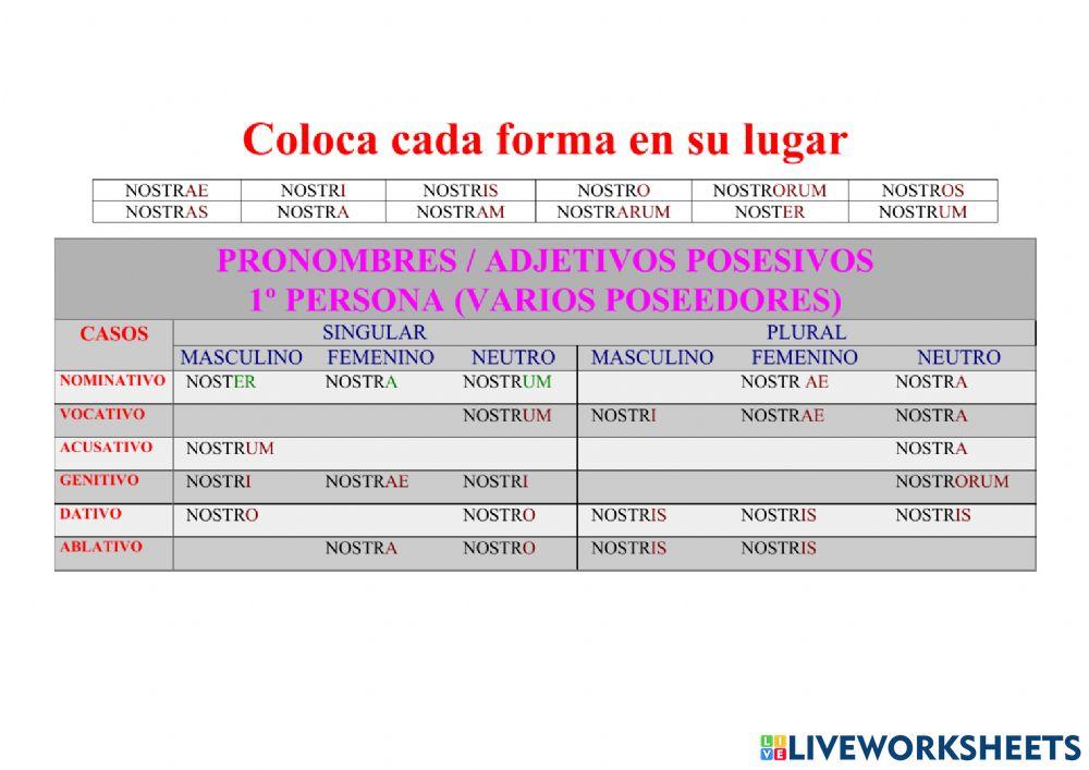 Posesivo NOSTER, A, UM