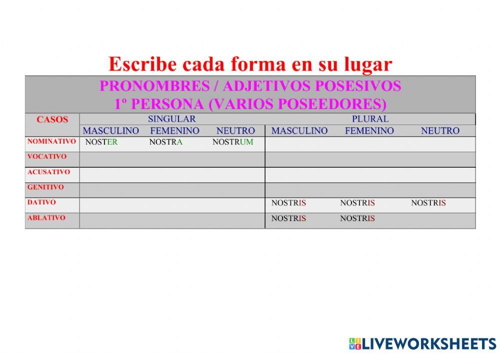 Posesivo NOSTER, A, UM