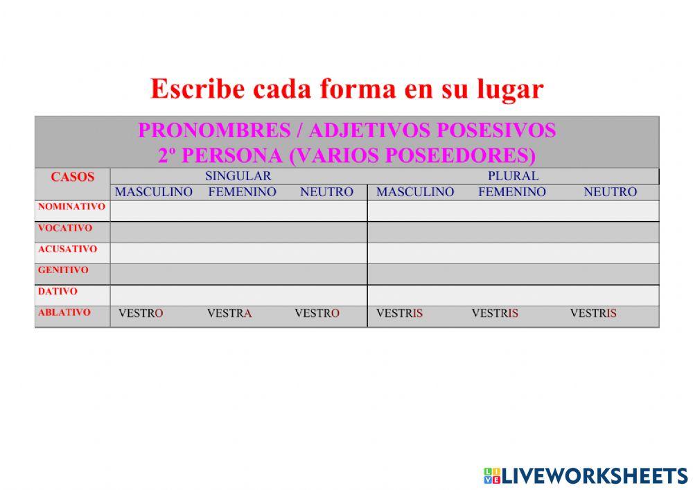 Posesivo VESTER, A, UM