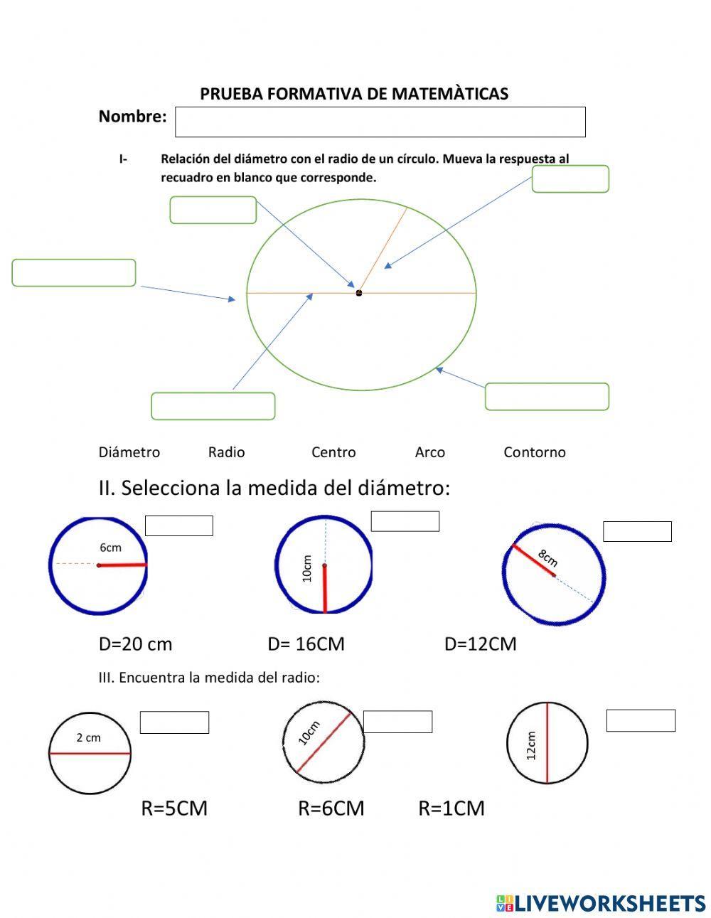 Relaciòn del diametro con el radio de un circulo worksheet | Live ...