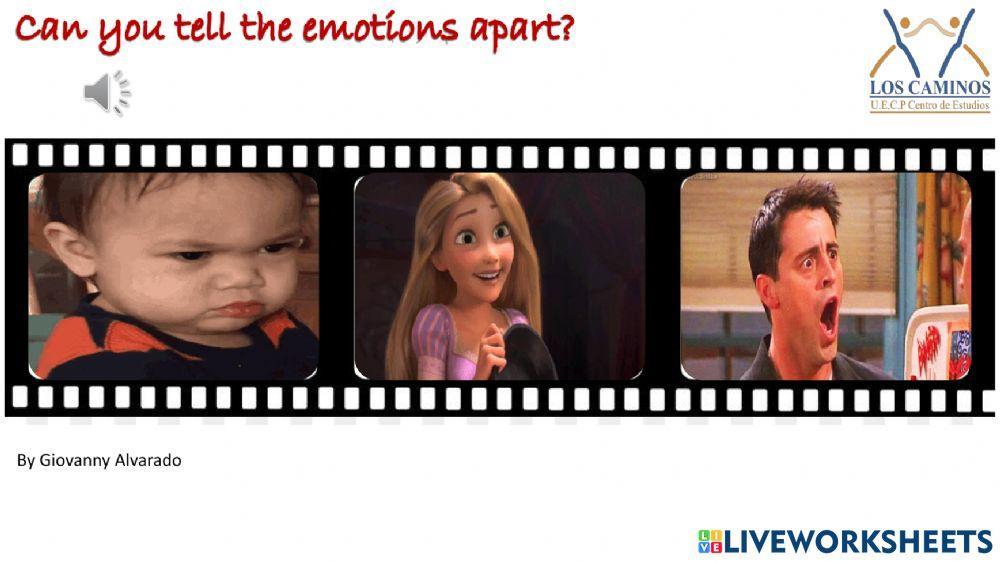 Feelings and emotions