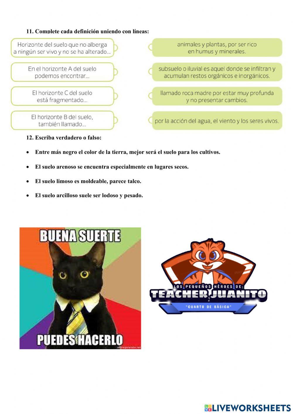 Evaluación Quimestral