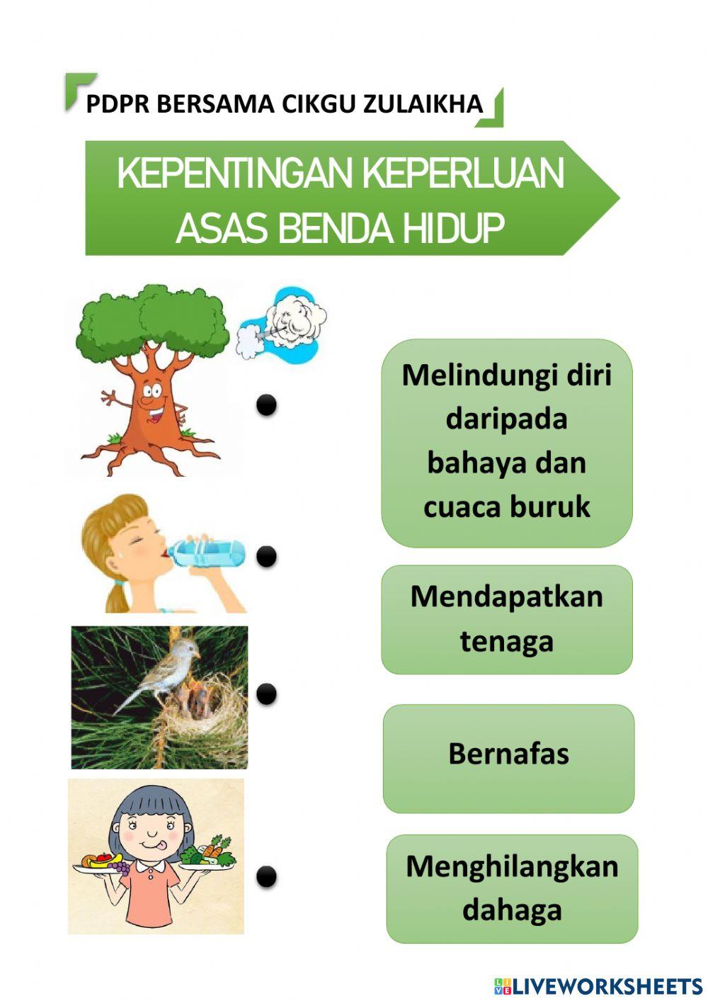 Kepentingan Keperluan Asas Benda Hidup Sains Tahun 1