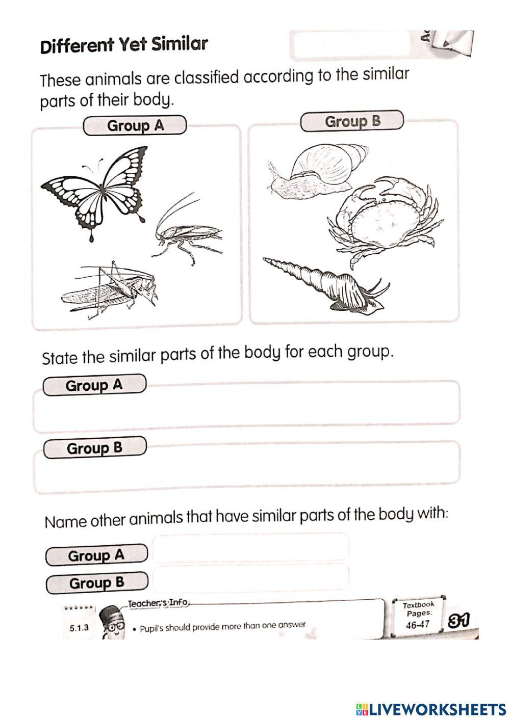 The important of animals body