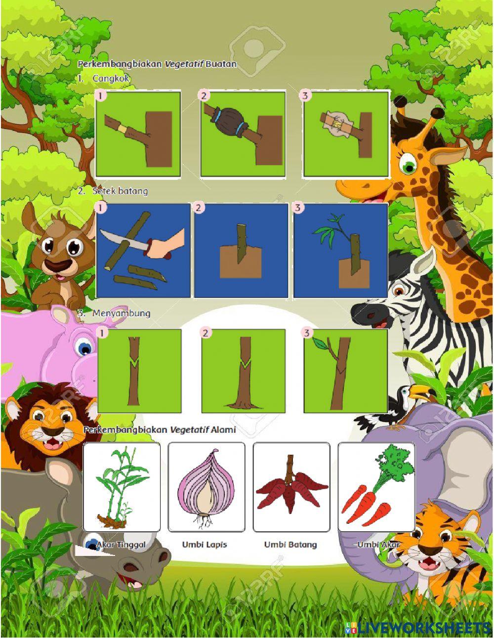 LKPD Rancangan Kegiatan Pembelajaran 3.2