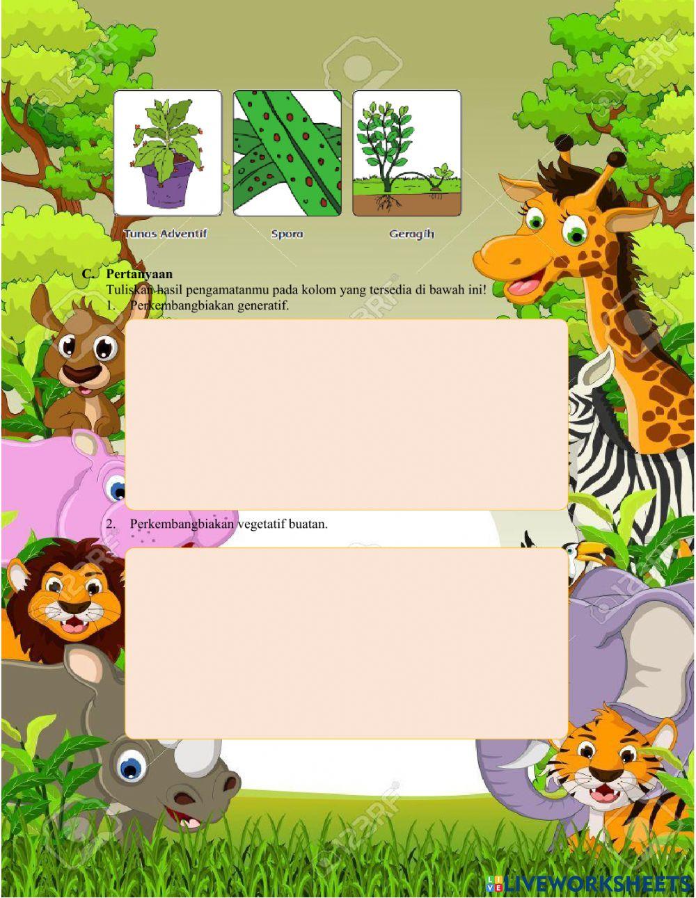 LKPD Rancangan Kegiatan Pembelajaran 3.2