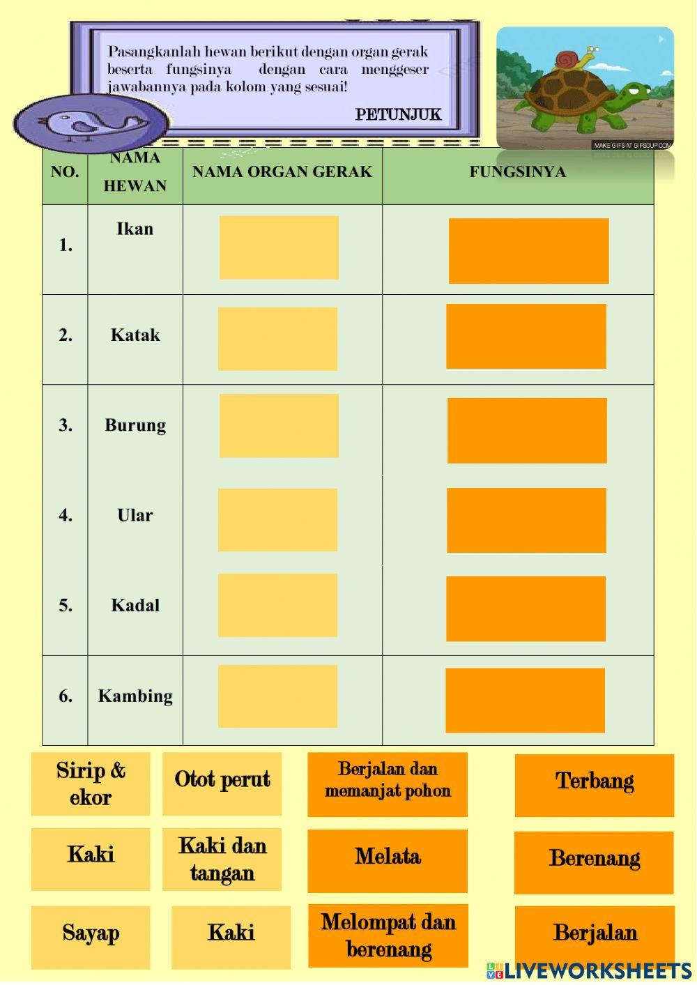 Organ gerak hewan kelas 5
