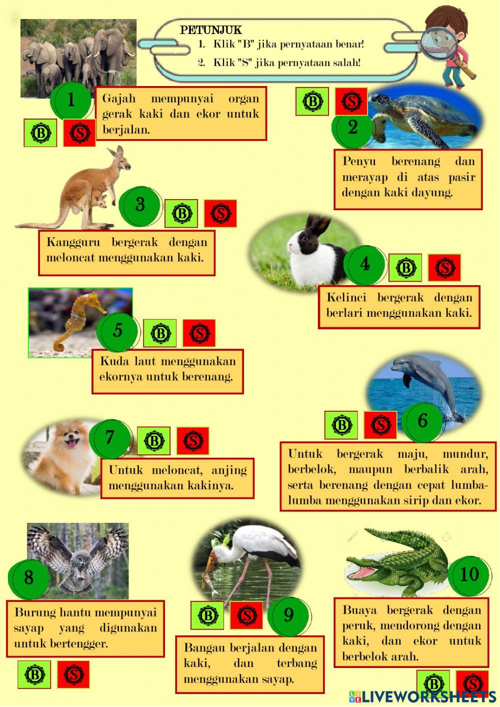 Organ gerak hewan kelas 5