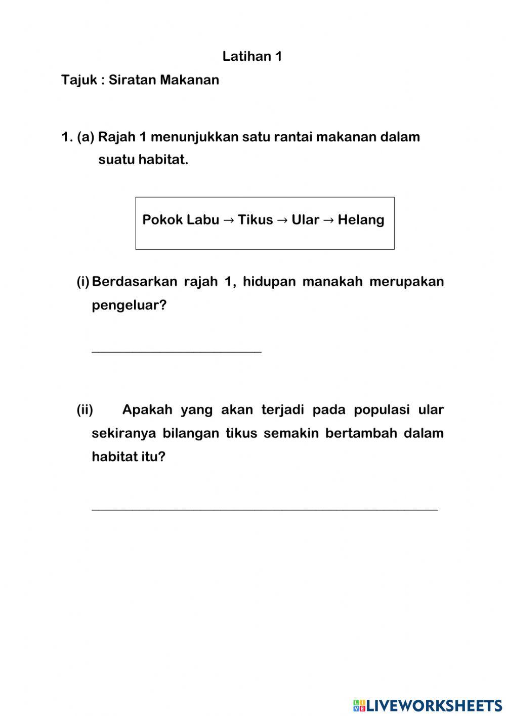 Rantai dan siratan makanan