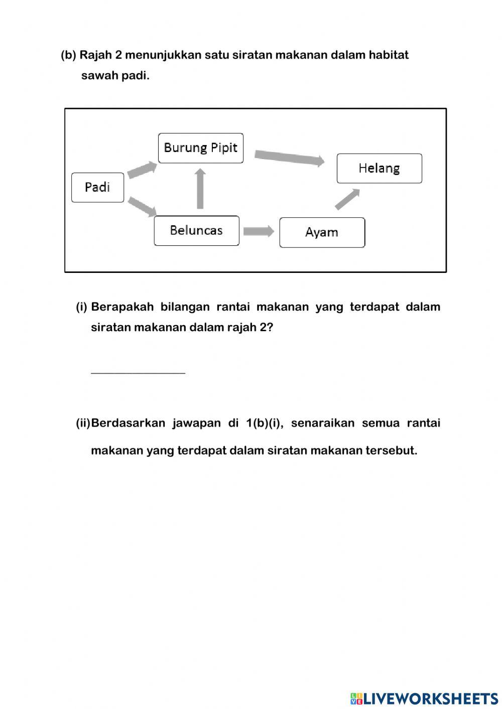 Rantai dan siratan makanan