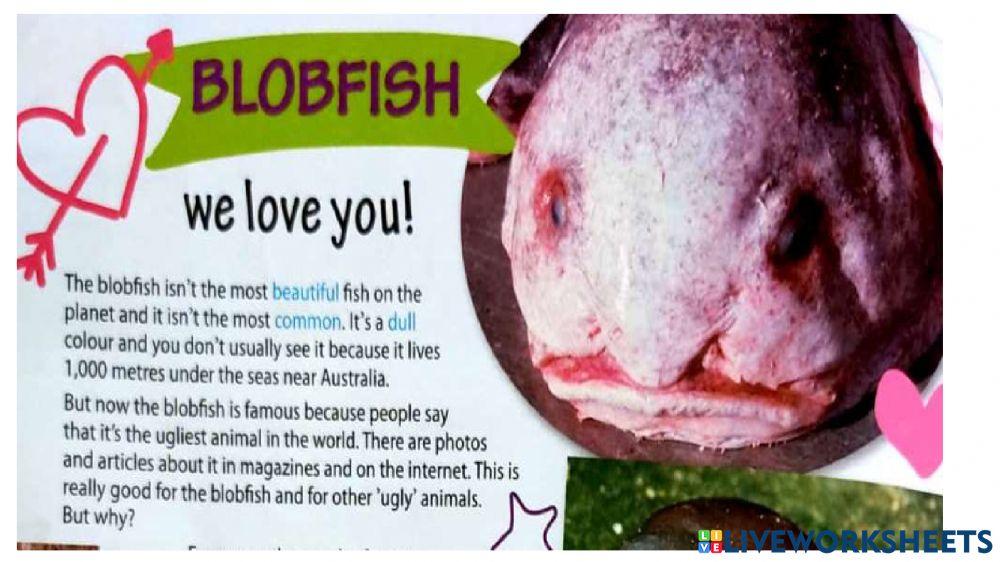 Unit 3: wild life (reading)